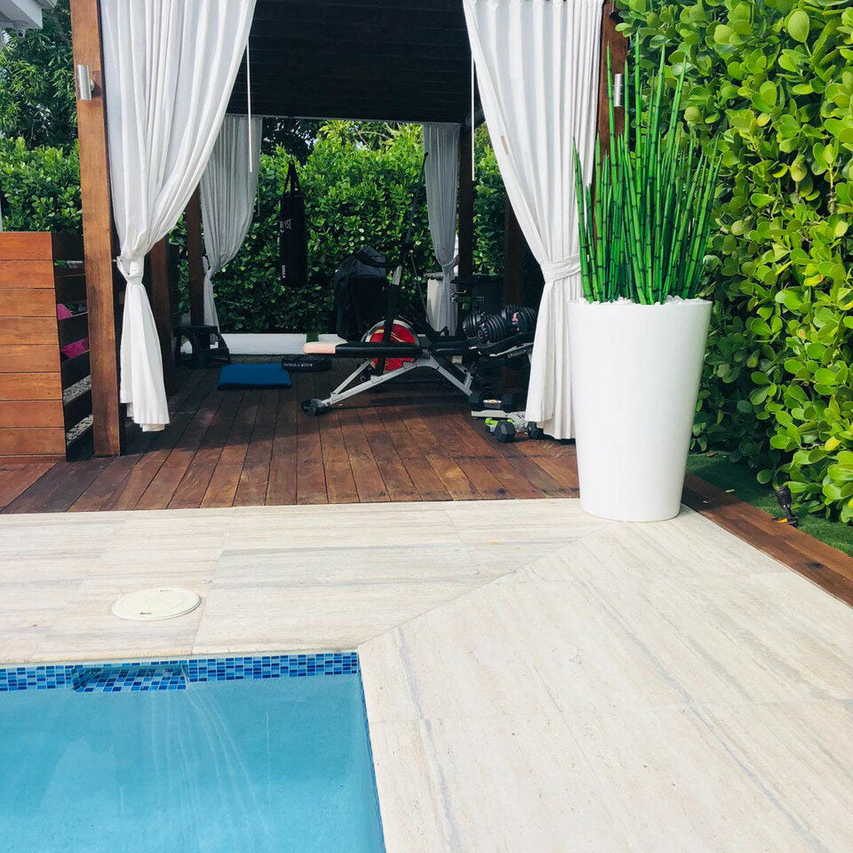 Herbe serpent (1,22 m) avec pot Belle L