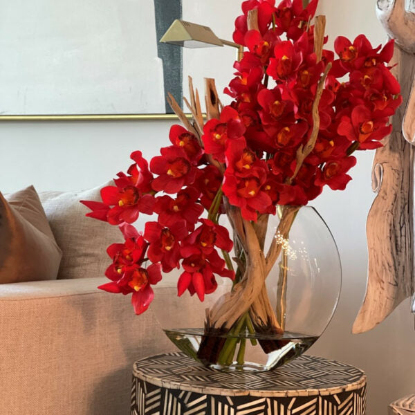 Cymbidiums rouges dans un pot Lune