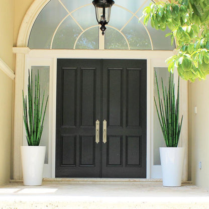 Herbe serpent (160 cm) avec pot Belle M