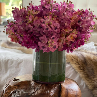 Orchidées Mokara Mixtes dans Grand Cylindre Rota