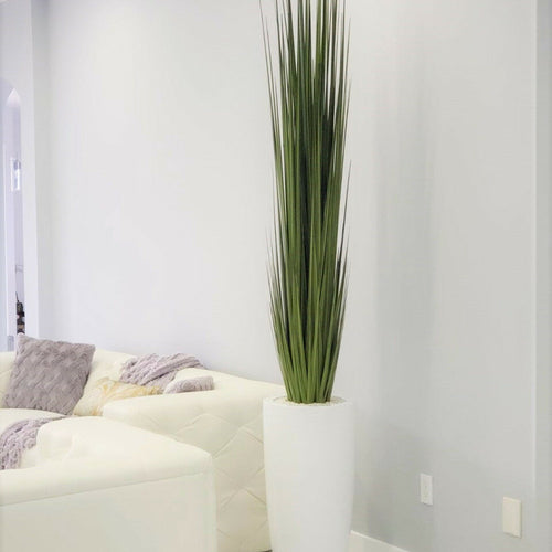 Grand vase Dax avec herbe à roseaux