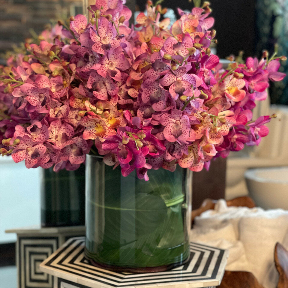 Orchidées Mokara Mixtes dans Grand Cylindre Rota