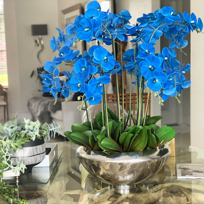 Bol Avenue avec orchidées Phalaenopsis bleues