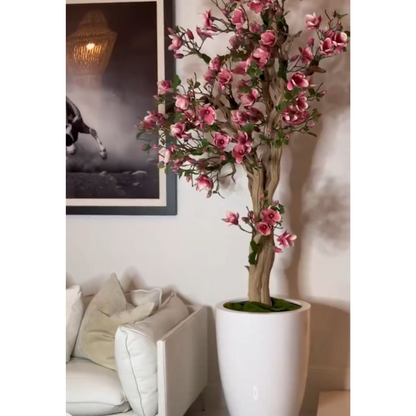 Magnolia rose en pot Saint-Tropez – Édition blanche éclatante