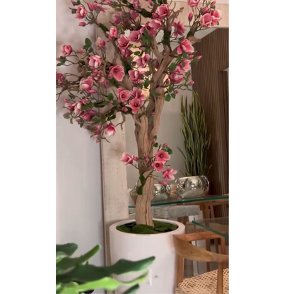 Magnolia rose en pot Saint-Tropez – Édition blanche éclatante