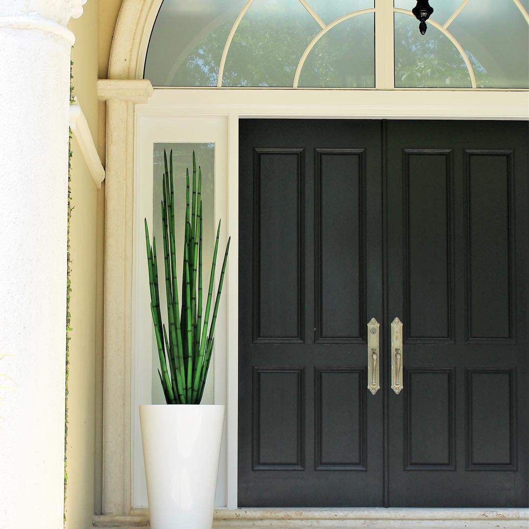 Herbe serpent (160 cm) avec pot Belle M