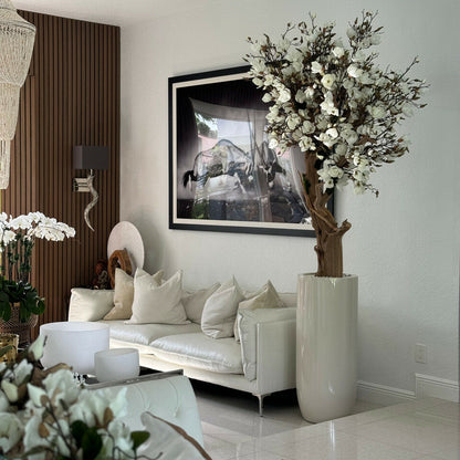 Magnolia blanc dans pot Saint-Tropez beige brillant