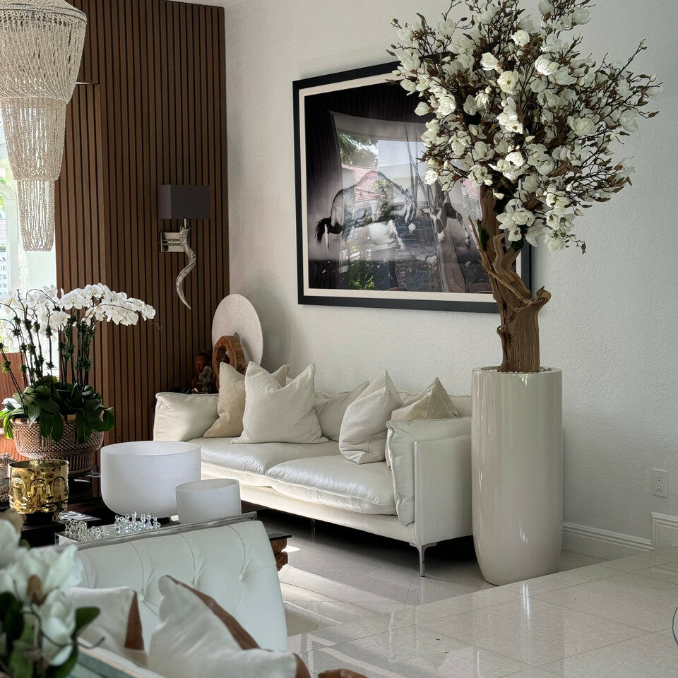 Magnolia blanc dans pot Saint-Tropez beige brillant