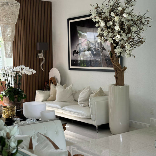 Magnolia blanc dans pot Saint-Tropez beige brillant