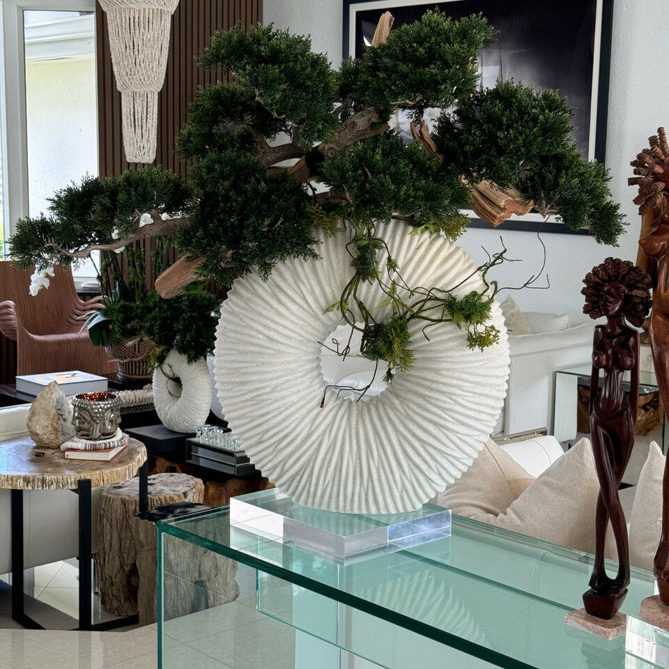 Grand vase Eternity avec bonsaï suspendu et bois flotté