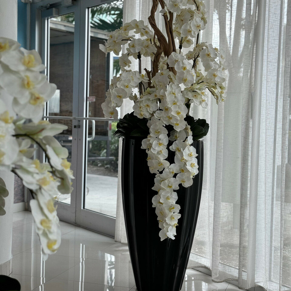 Vase San José noir brillant avec orchidées blanches en cascade