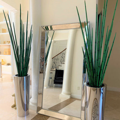 Grand pot en acier inoxydable poli avec grande plante d’herbe serpent