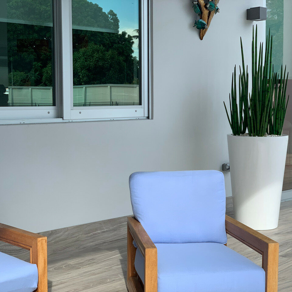 Herbe serpent (1,22 m) avec pot Belle L