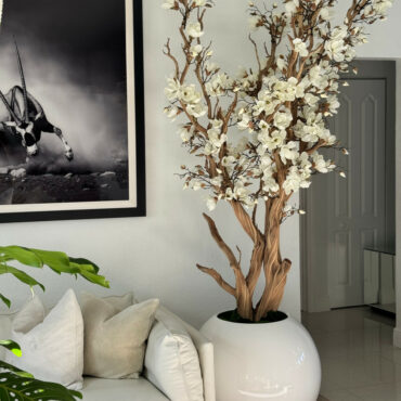 Magnolia blanc dans pot globe blanc brillant de 76 cm