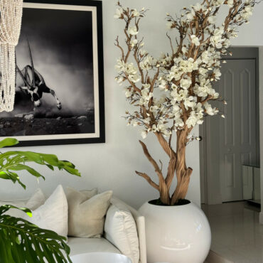 Magnolia blanc dans pot globe blanc brillant de 76 cm