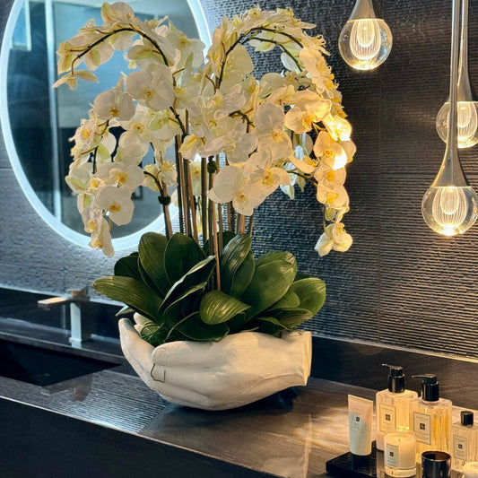 Orchidées Phalaenopsis blanches dans vase sculpture mains ouvertes