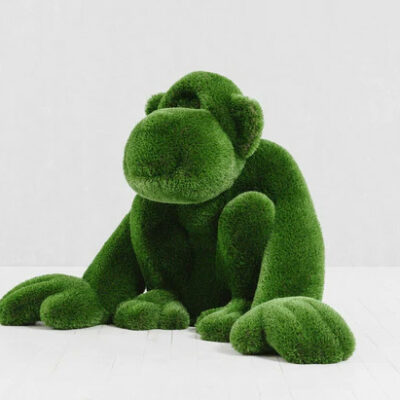 Topiaire d'herbe de singe